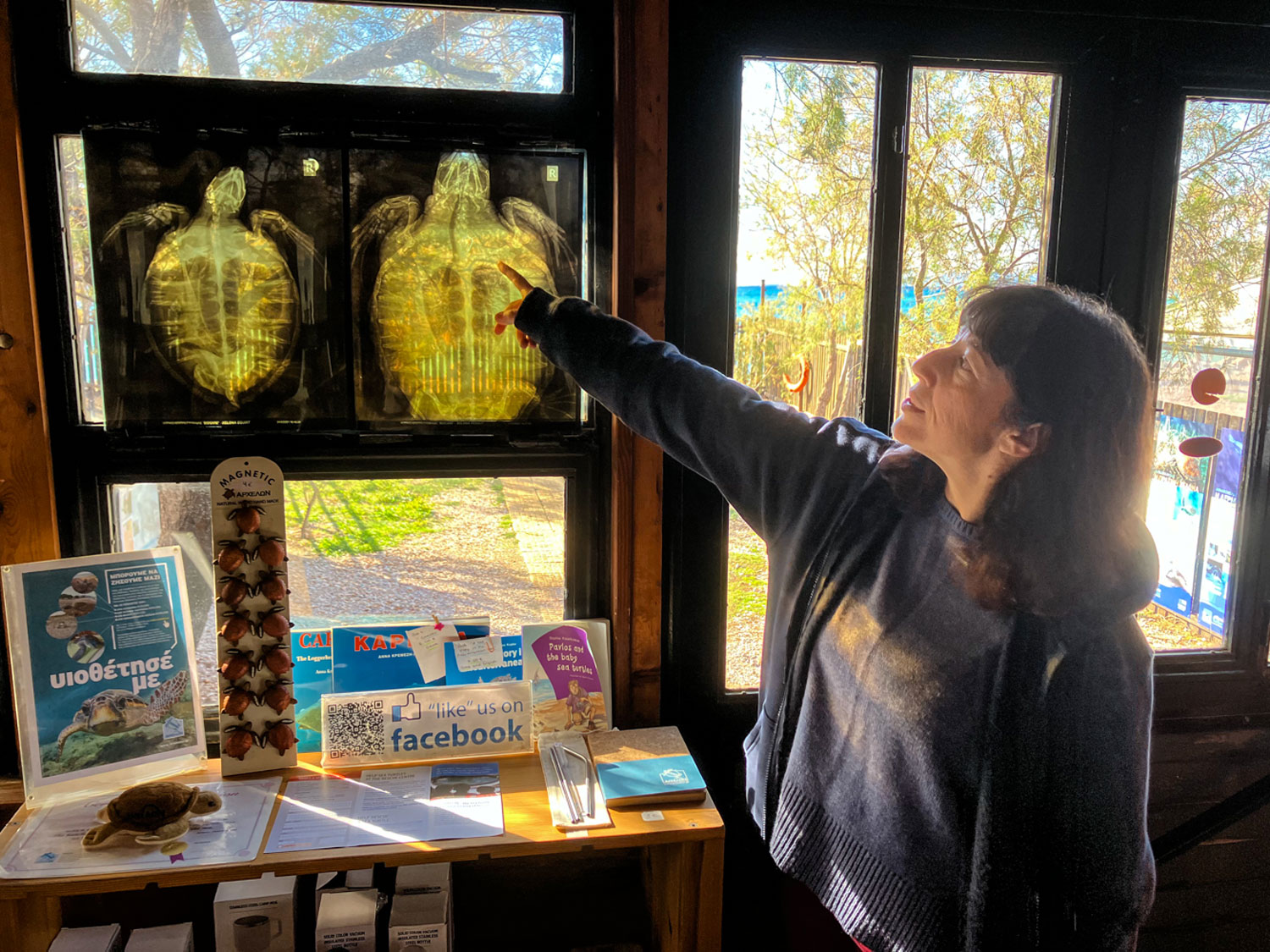 Devant la radio d’une tortue blessée, par un crochet de pêche © Globe Reporters