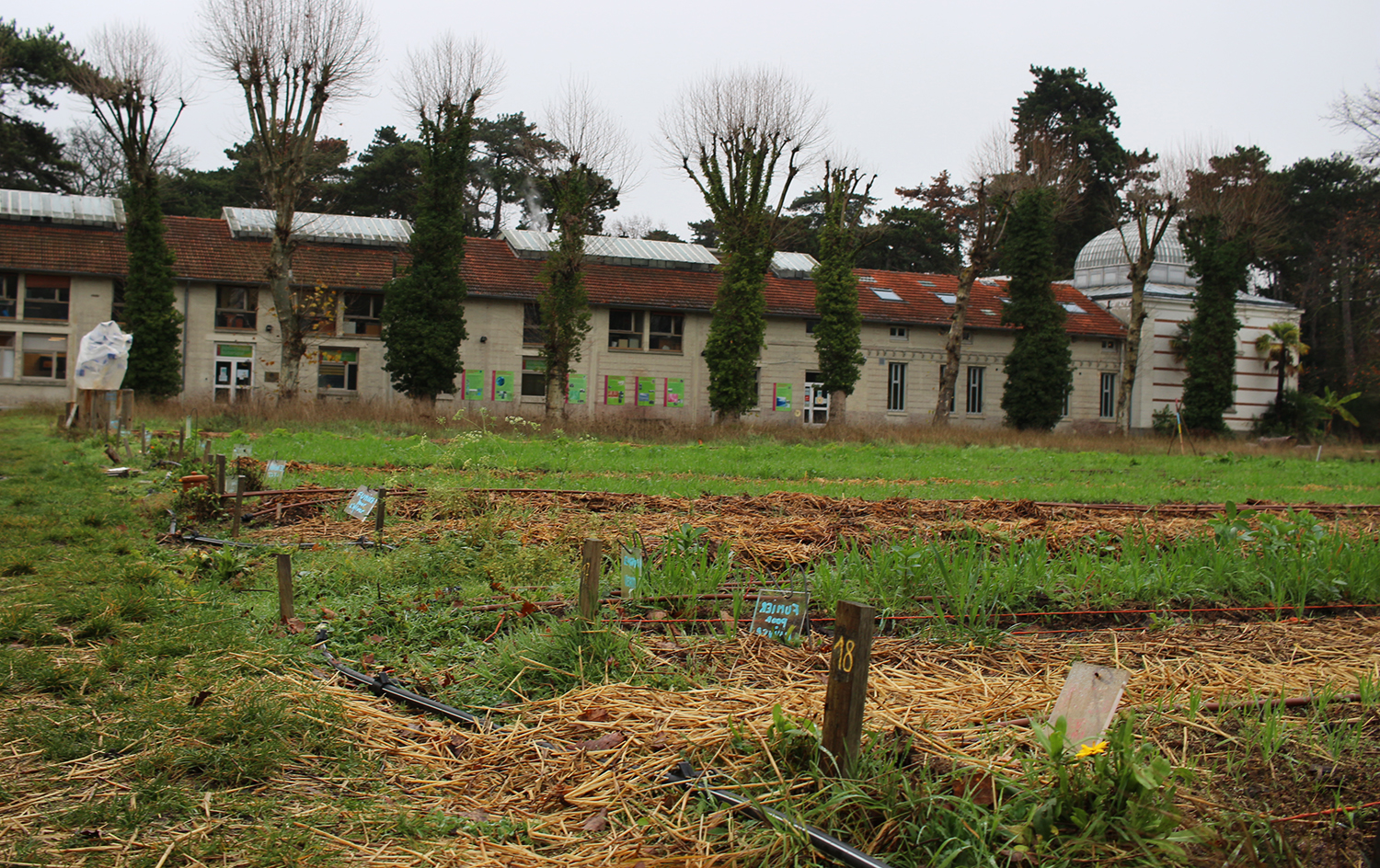 Une autre vue du potager © Globe Reporters