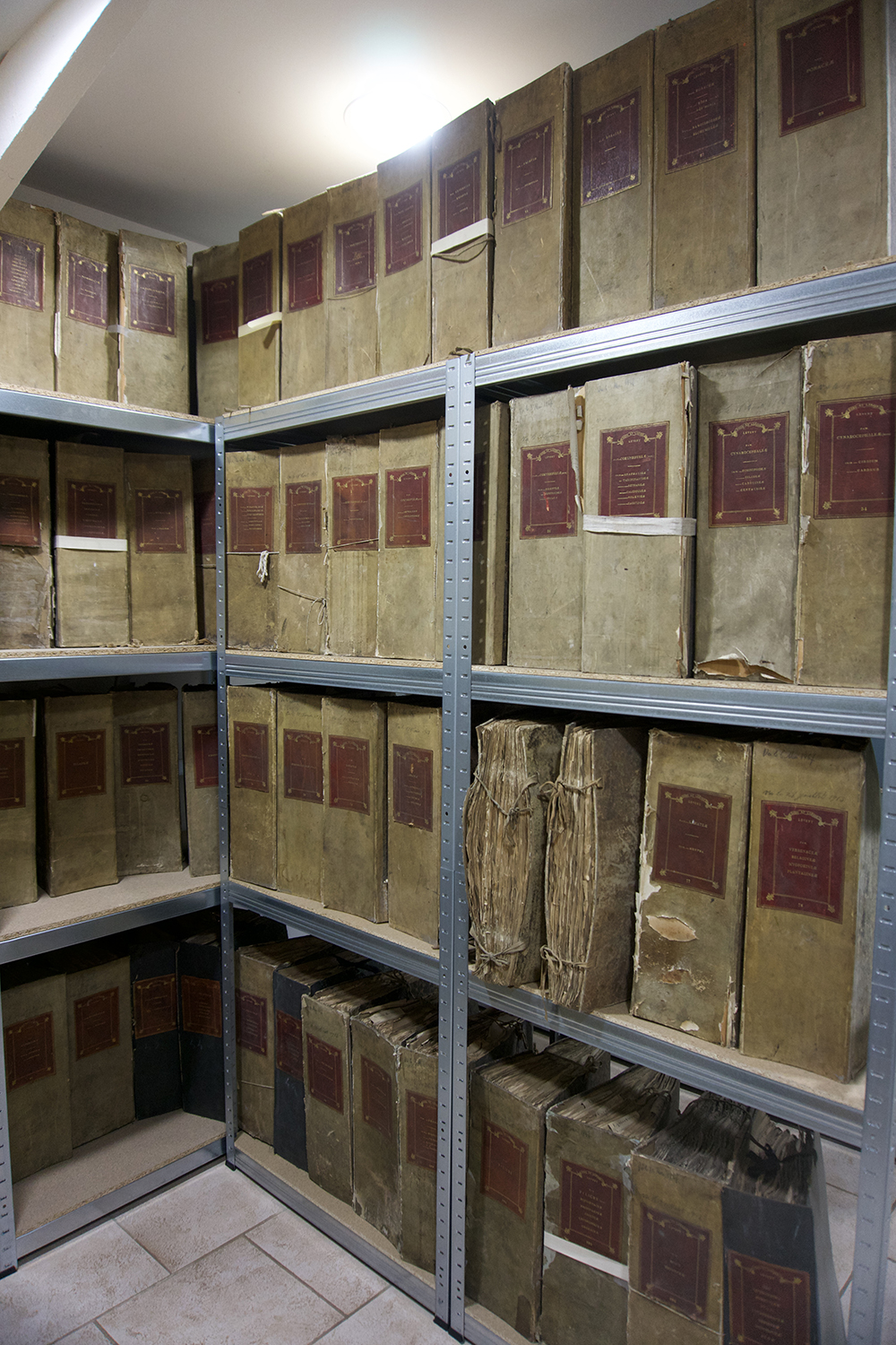 Dans les locaux du Conservatoire botanique national de Bailleul, on trouve des herbiers. Ce sont des collections de spécimens végétaux séchés qui permettent de retracer le fil conducteur des espèces. © Globe Reporters