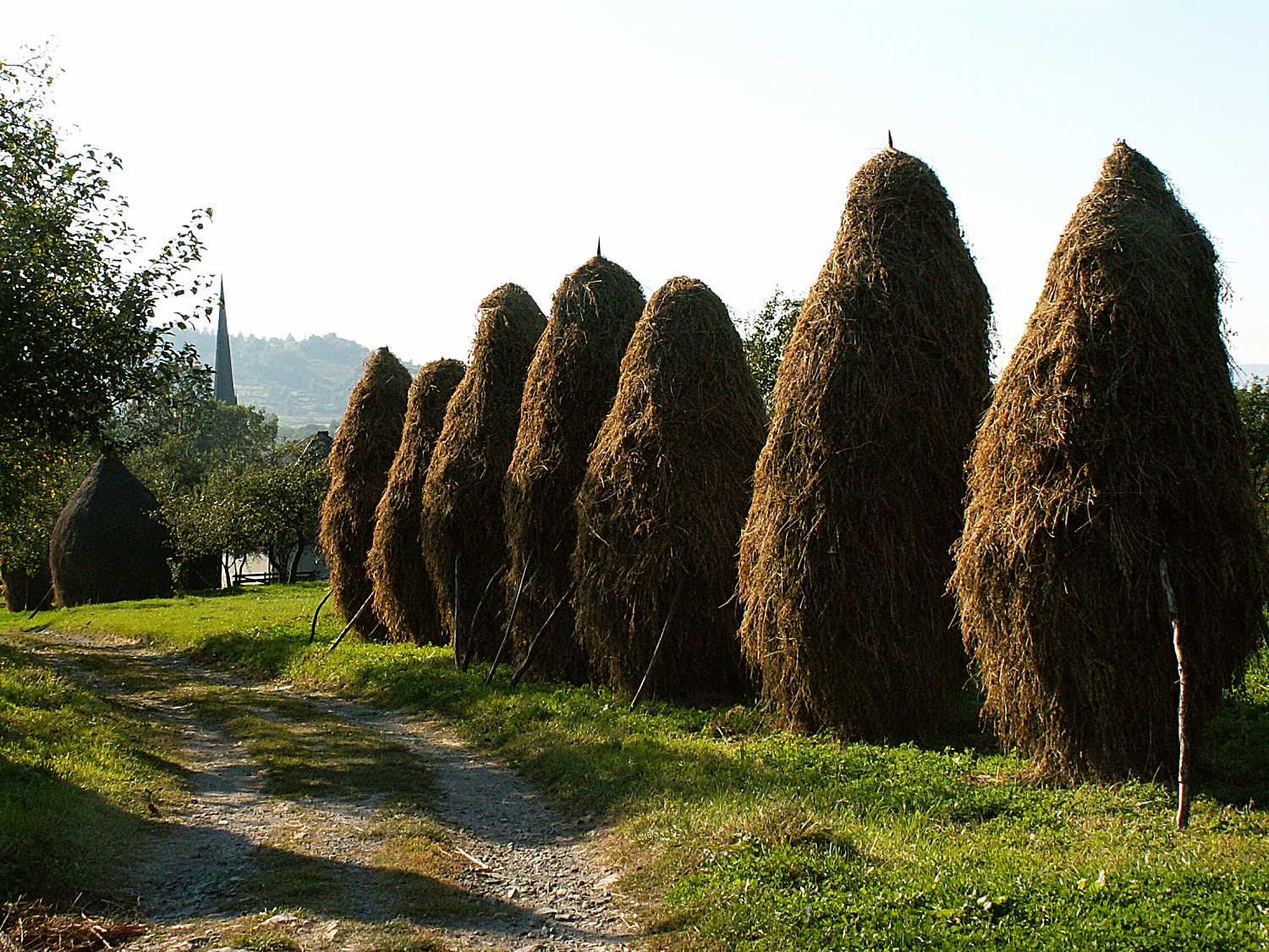 D’étranges silouettes sur le bord des chemins. crédits Anamaria Luga