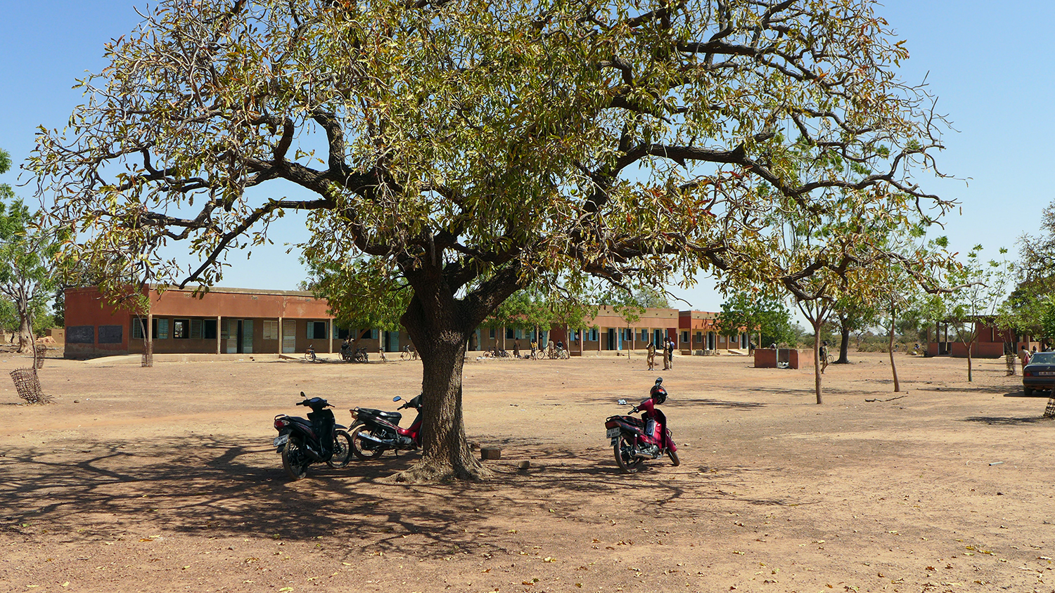 En l’absence de clôture, les animaux viennent parfois se promener dans le lycée. 