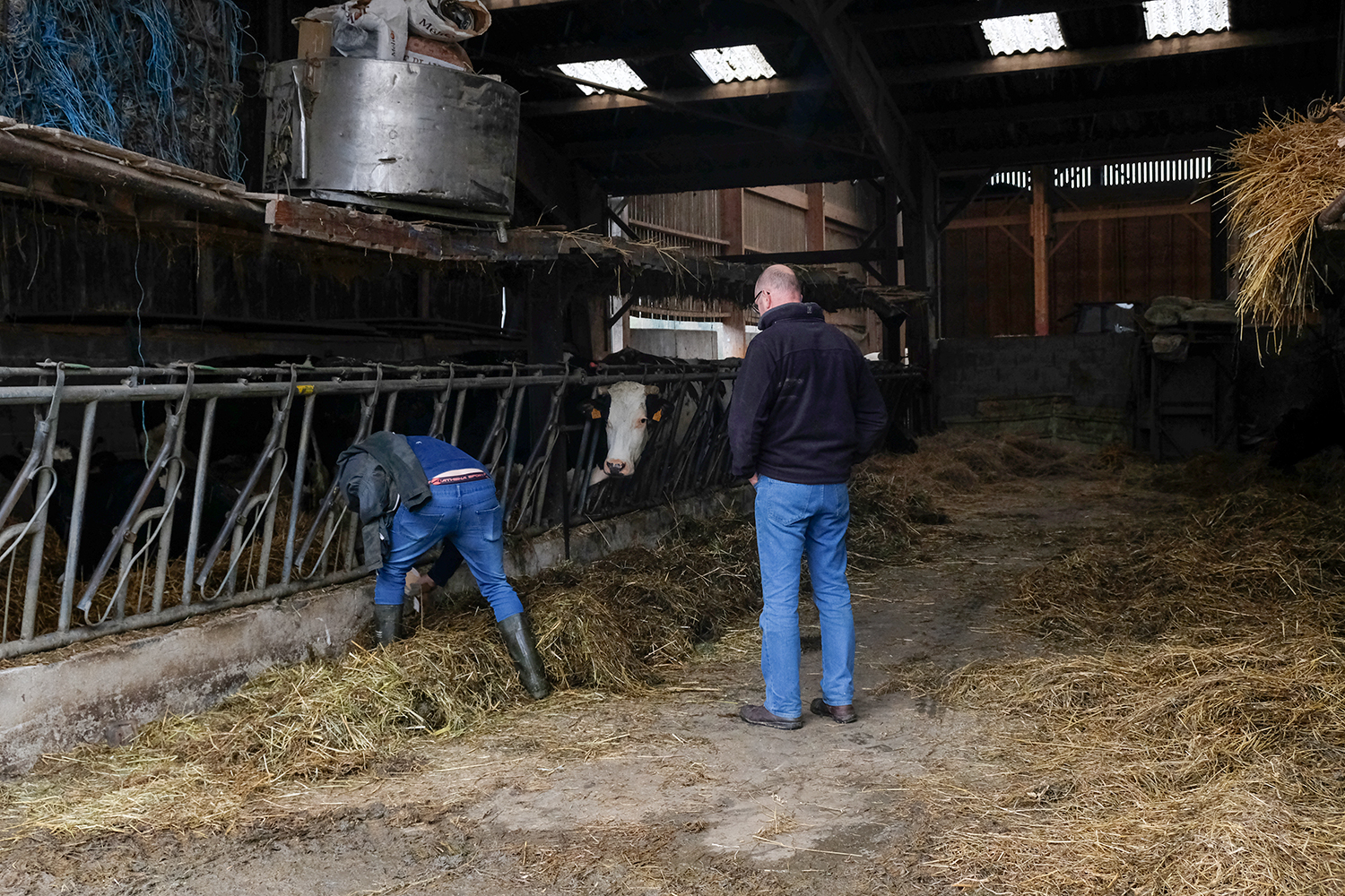 Produire en bio demande plus de travail, car les rendements sont moindres, mais les revenus sont meilleurs, selon l’agriculteur.