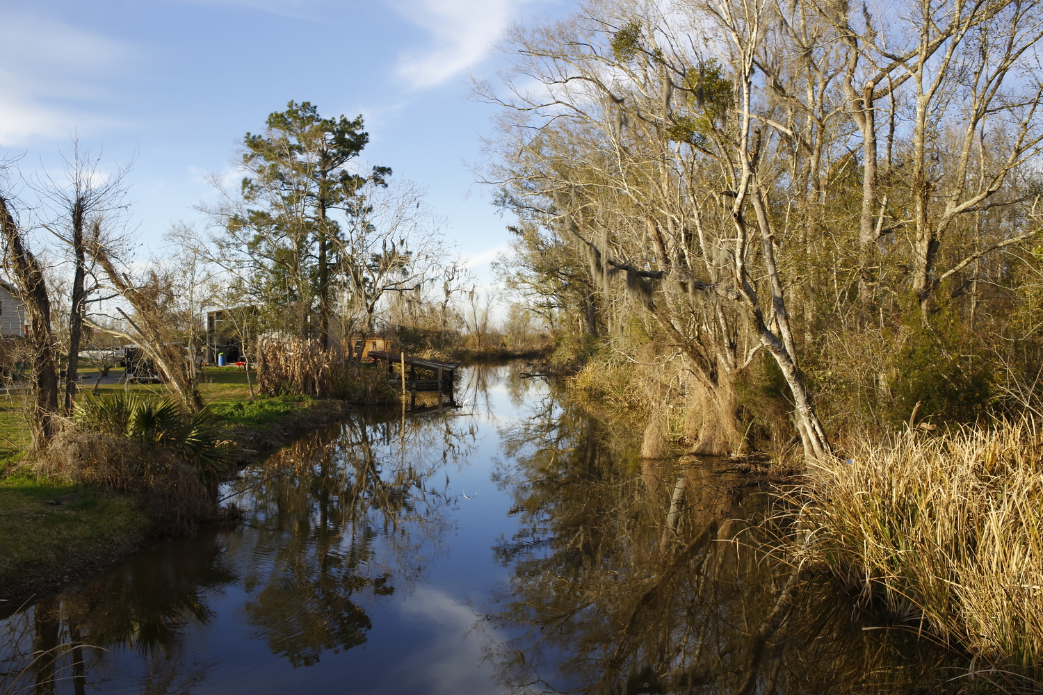 Paysage de bayou près de Houma, sur la route du retour © Globe Reporters 