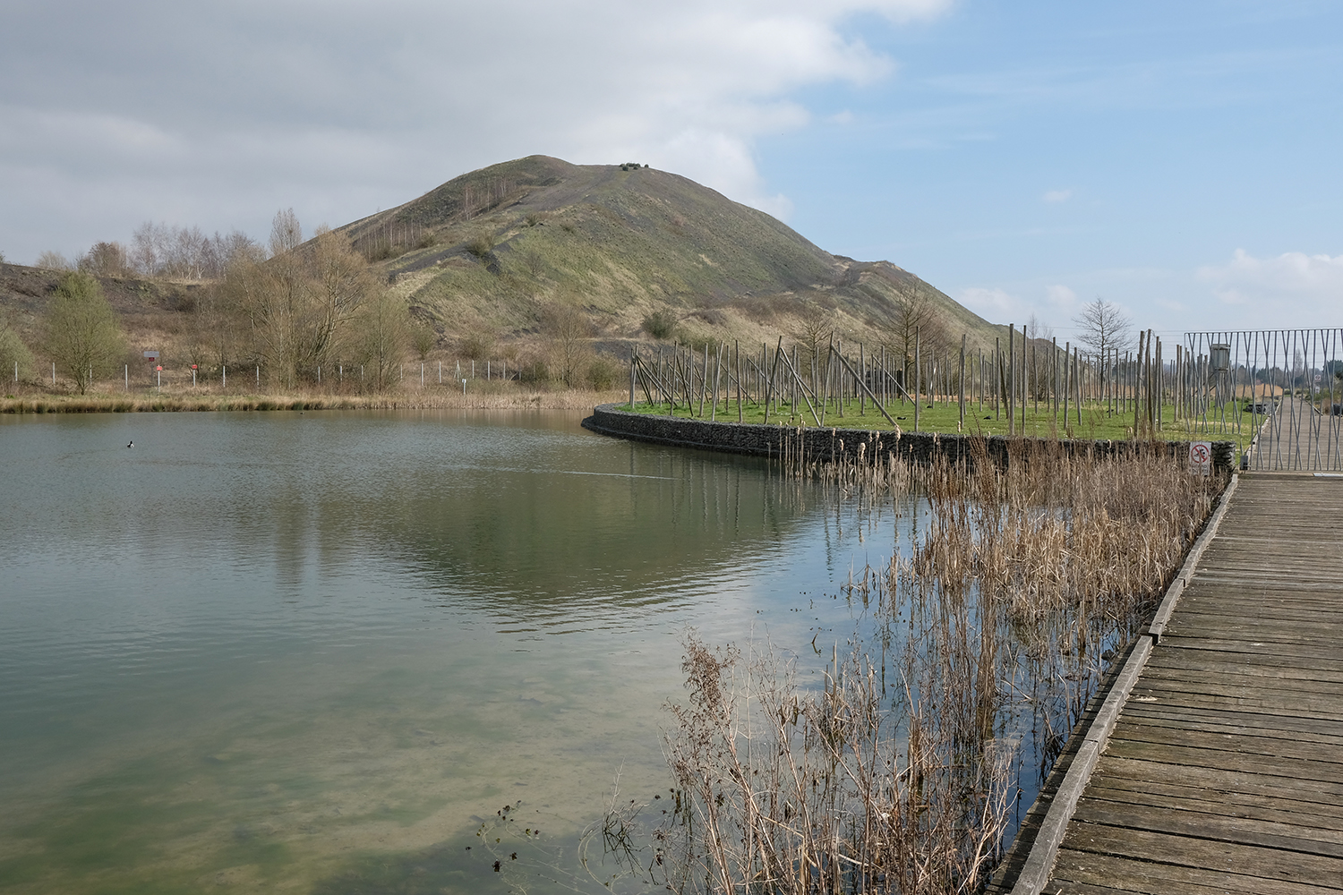 Sur le site de l’ancienne cokerie de Drocourt, l’agglomération d’Hénin-Carvin a transformé les 160 hectares de friche en un parc paysager.