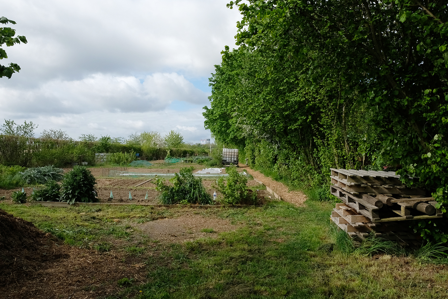 A plusieurs endroits de la ville, des jardins partagés sont cultivés par les habitants, accompagnés par l’association Les anges gardiens. 