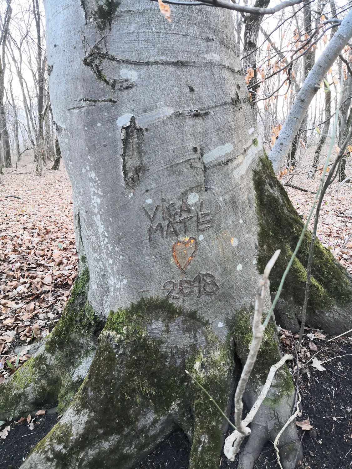 Une bonne partie de la jeunesse de Cluj passe à un moment ou à un autre par ici © Globe Reporters