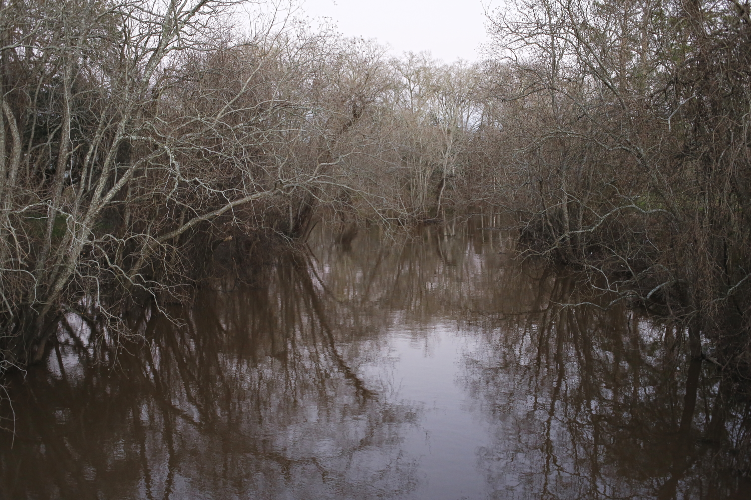 Le bayou Fuselier vers Arnaudville © Globe Reporters