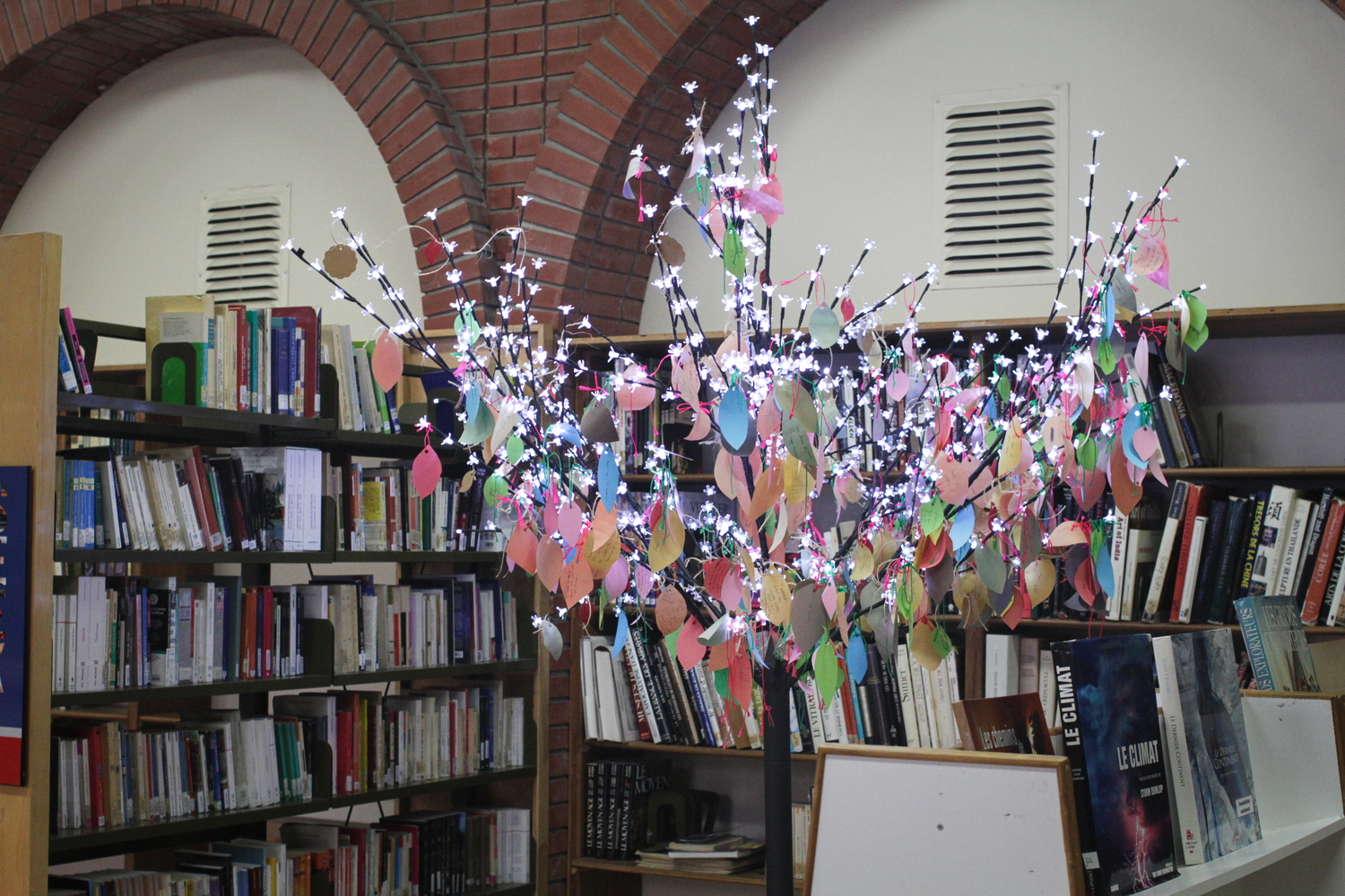 Décoration dans la bibliothèque.