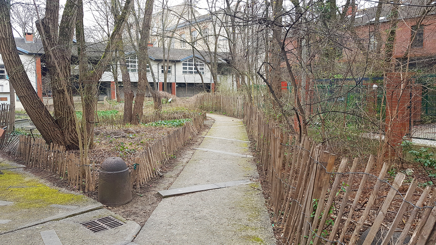 Comme sur la petite ceinture, son aménagement a permis à la faune et la flore se développer, comme nous pouvons le voir sur la onzième photo © Globe Reporters