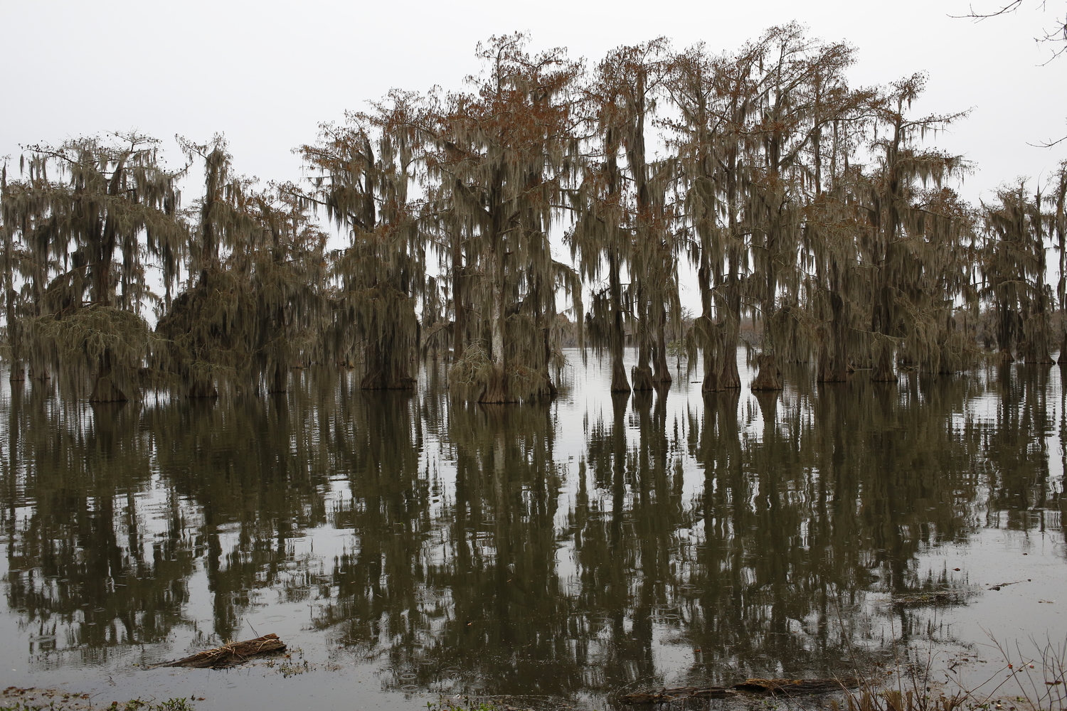 12 Vue sur le Lake Martin près de Lafayette © Globe Reporters 