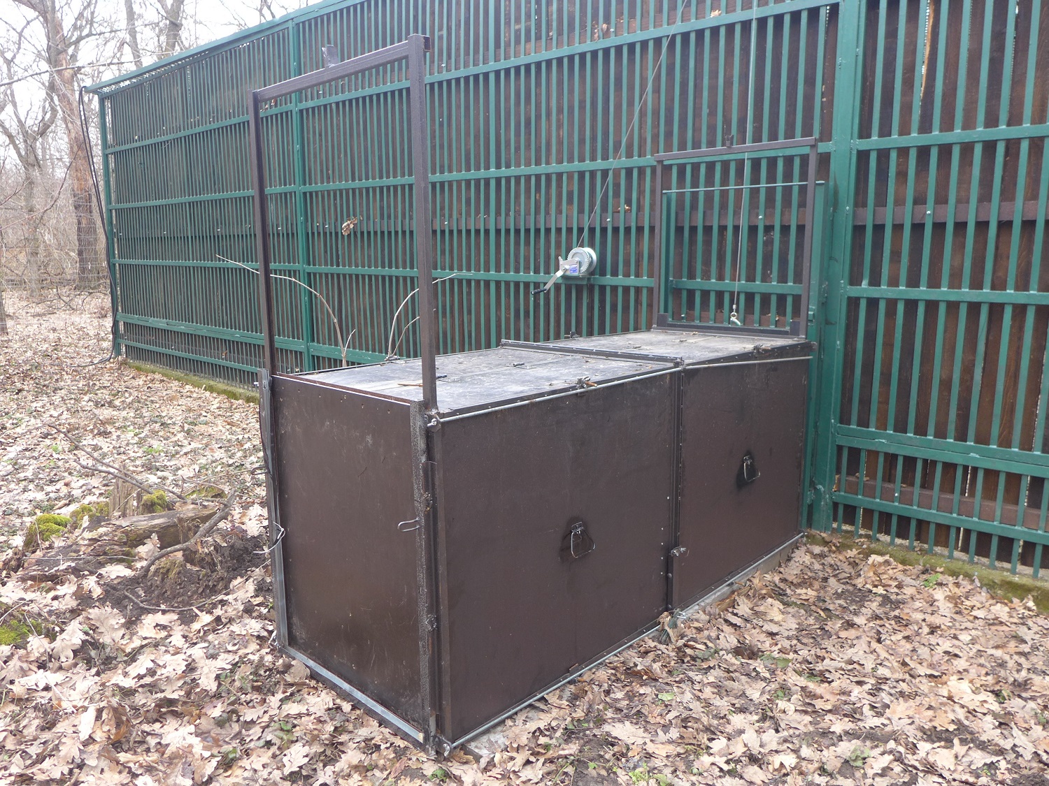 Voici la cage qui a servi à capturer le lynx. « On n’utilise pas de nourriture pour l’attirer, car on ne veut pas changer leur comportement, précise George. Ce piège est placé sur leurs routes habituelles et comme le lynx est très curieux, il rentre dedans pour voir de quoi il s’agit. »