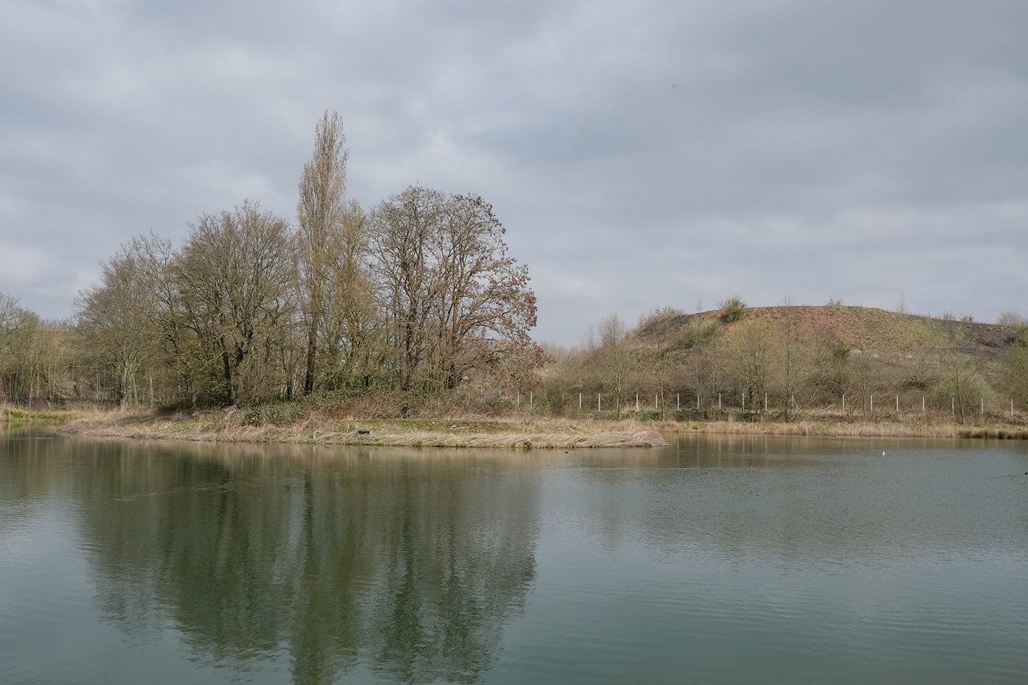 Entre terres et eaux, une faune et une flore s’est installée sur l’ancien site industriel. Les sols ont été dépollués afin de permettre à la biodiversité de revenir.