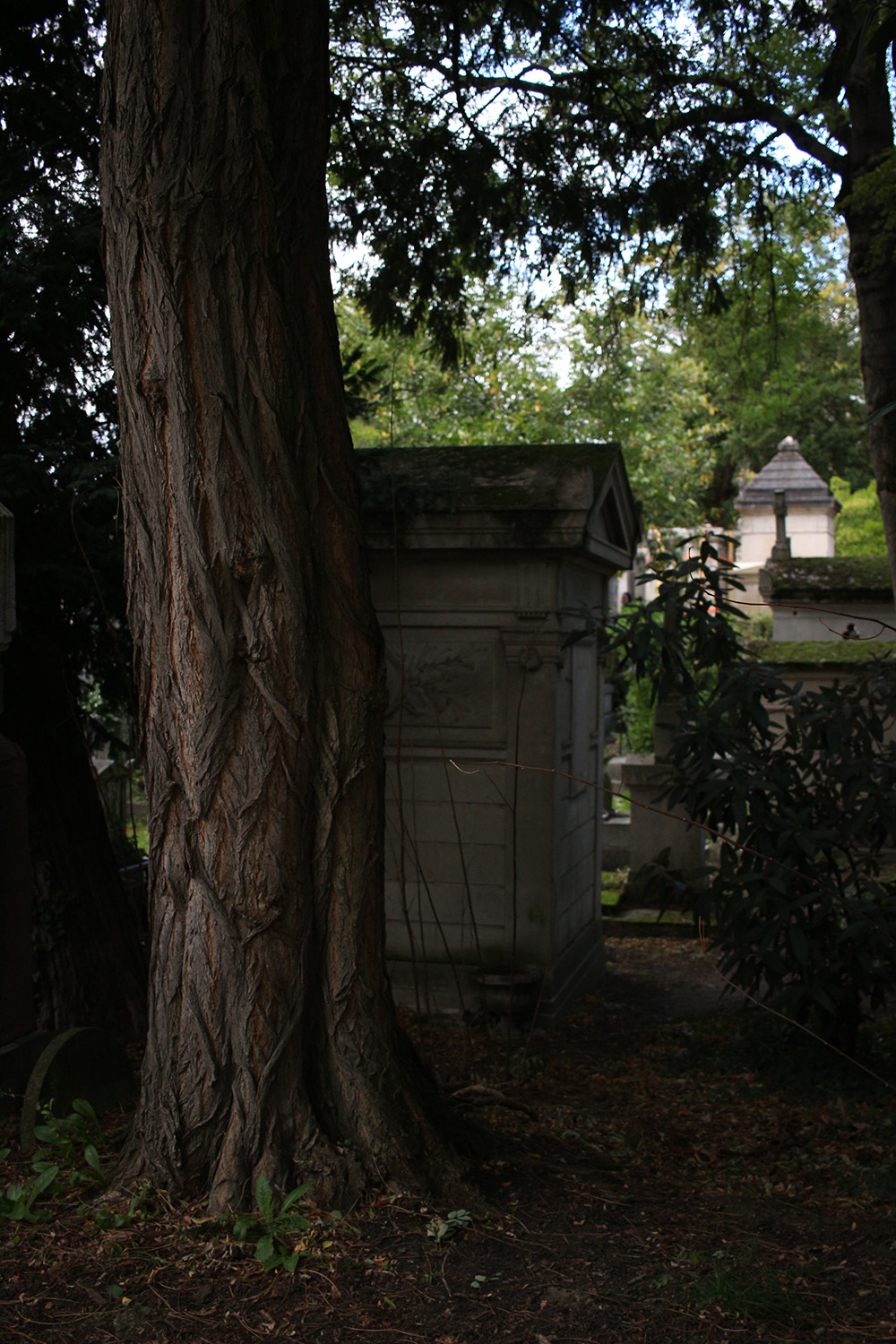 Pour finir, notre journaliste fait un dernier détour par Le Père Lachaise, un cimetière parisien très célèbre. Depuis que cet espace est entretenu avec des technique et produit naturel, que les pesticides ne sont plus utilisés, on y retrouve de nombreuses espèces végétales ou animales que l’on ne voyait plus. Comme des renards ! © Globe Reporters