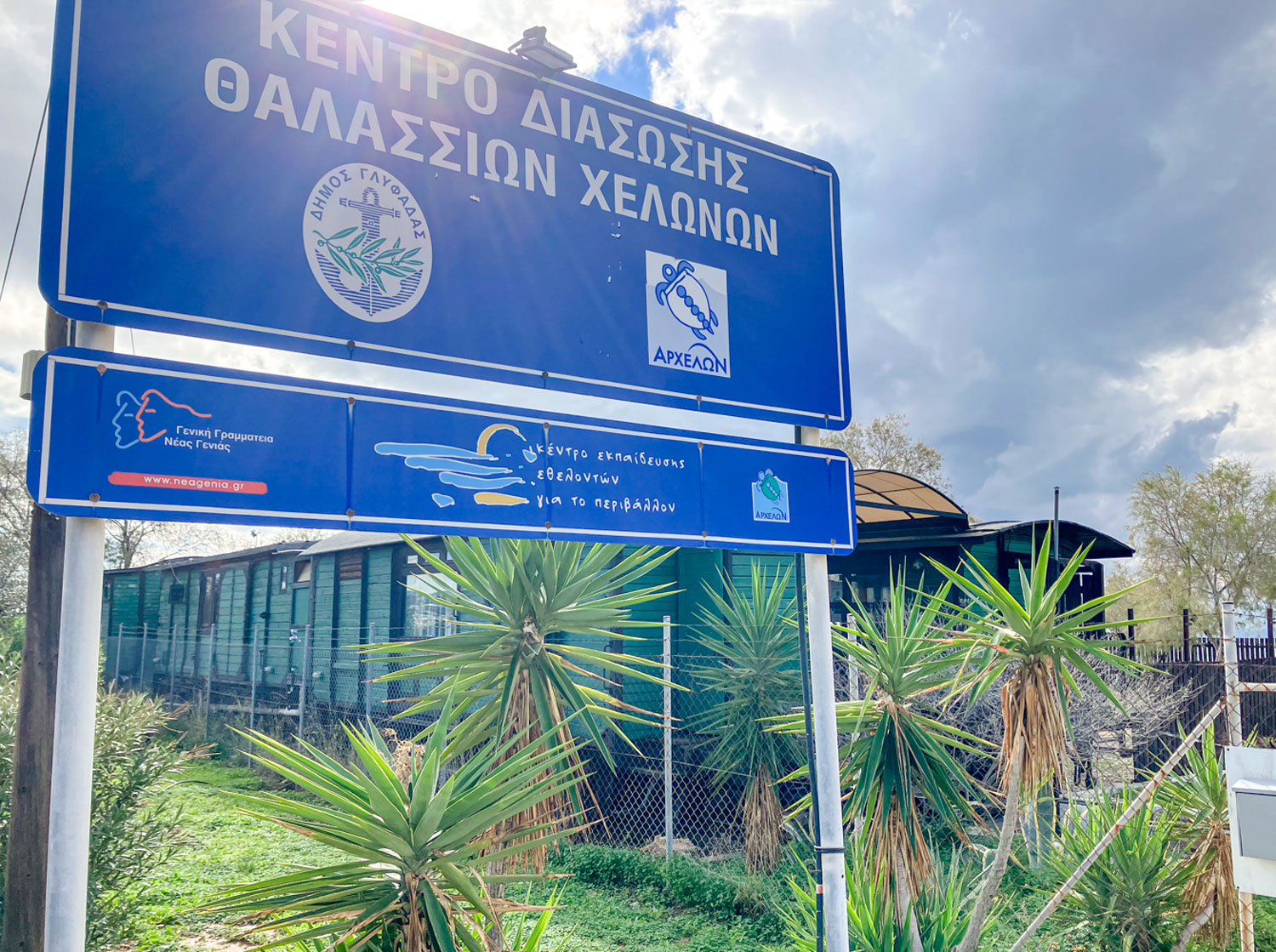 Entrée de « l’hôpital » pour tortues d’Archelon à Glyfada © Globe Reporters