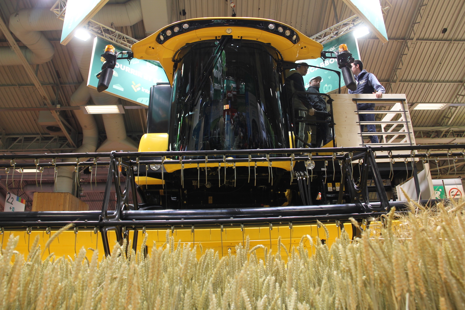 Prêt à avaler des champs de blé © Globe Reporters