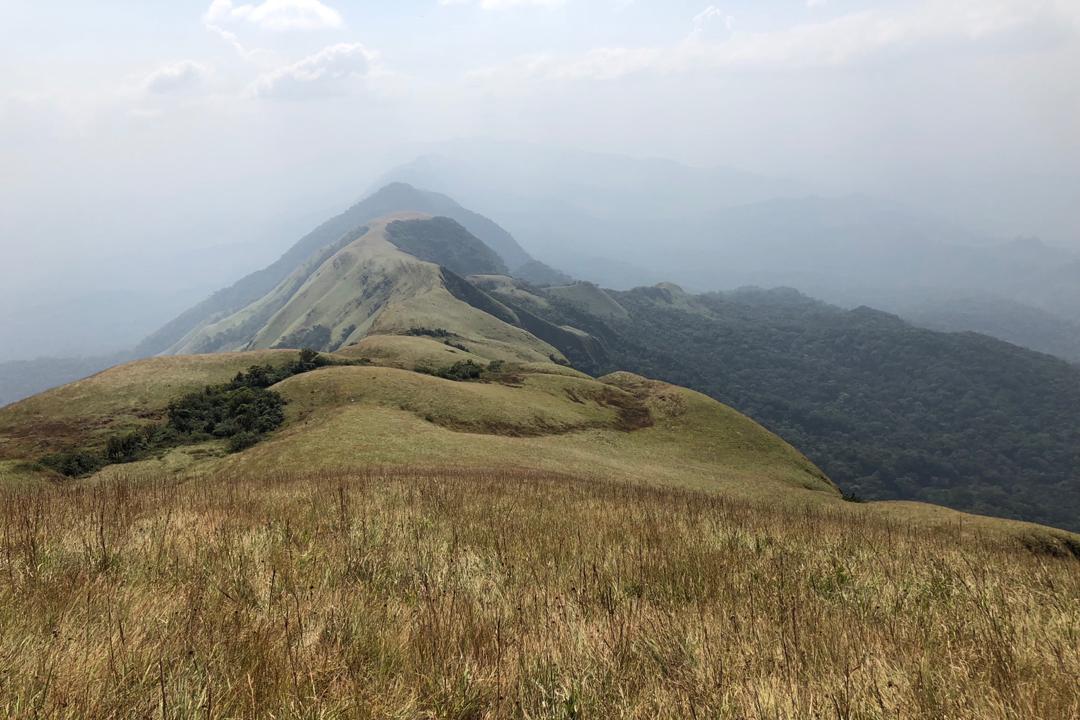 La chaîne des monts Nimba en direction du sud.