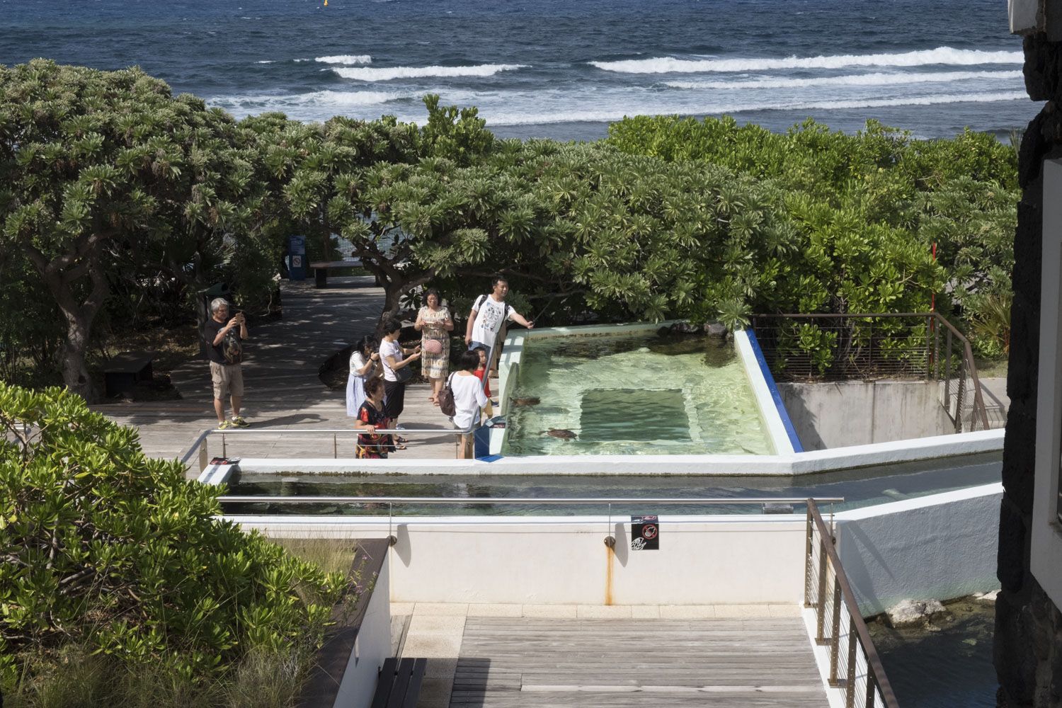 Kélonia est un musée très visité par les locaux et les touristes à La Réunion.