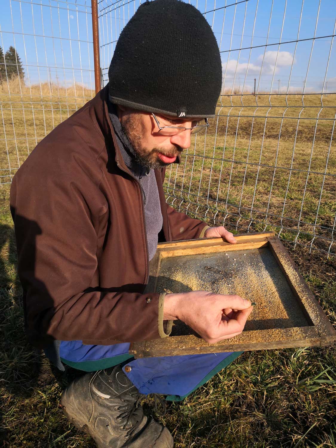 Denis nous montre un varroa mort dans sa ruche. Présent un peu partout il s’agit d’un parasite qui attaque l’abeille © Globe Reporters