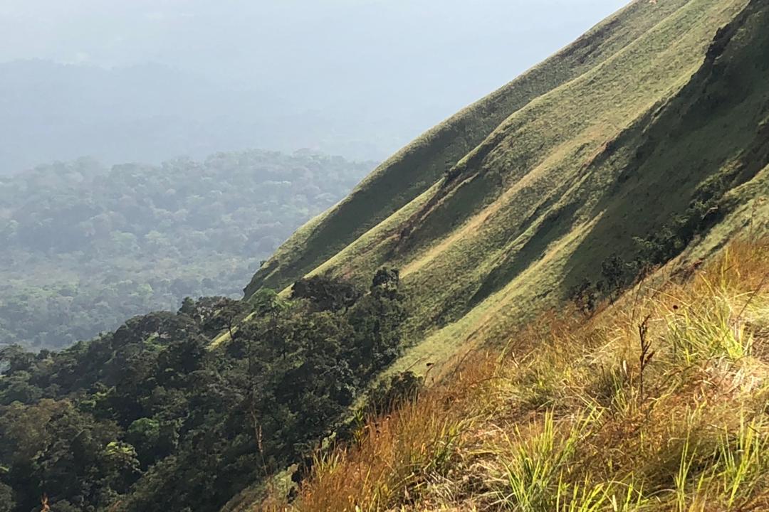 Le versant ivoirien des monts Nimba.