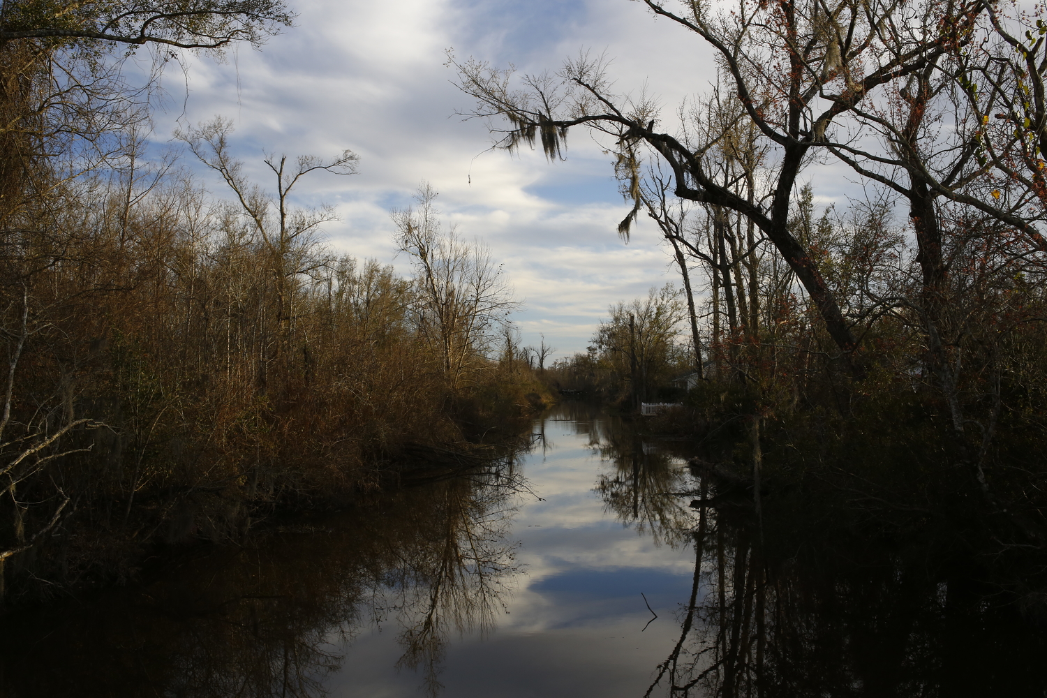 Paysage de bayou vers Houma © Globe Reporters