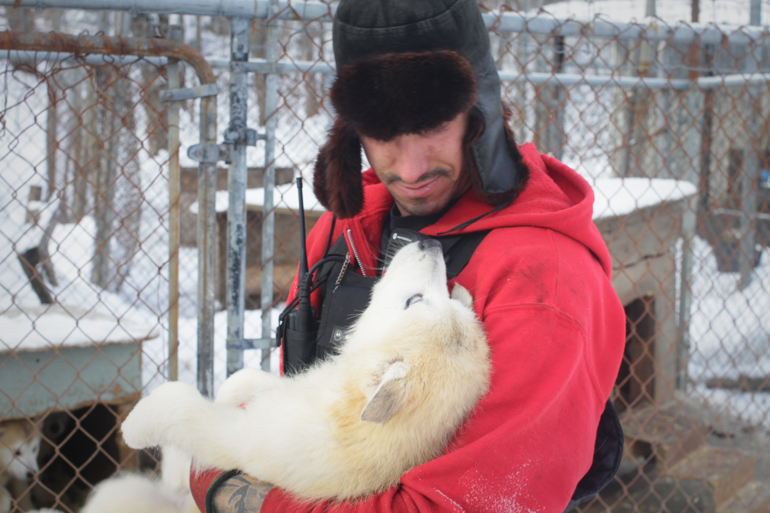 Randy BILODEAU et un des chiots nés il y a deux mois.