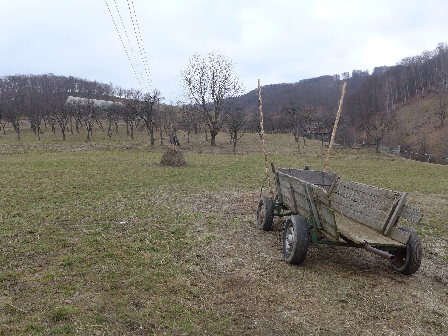 La charrette que le cheval tire.