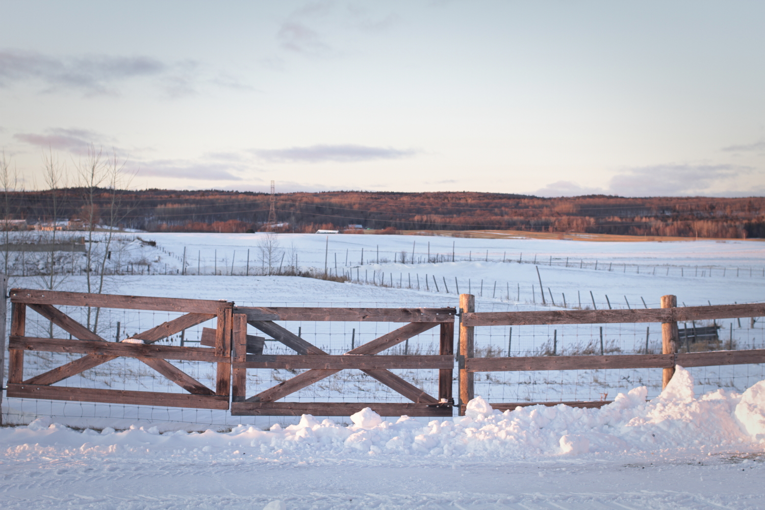 Champs enneigés de l’autre côté de la ferme.