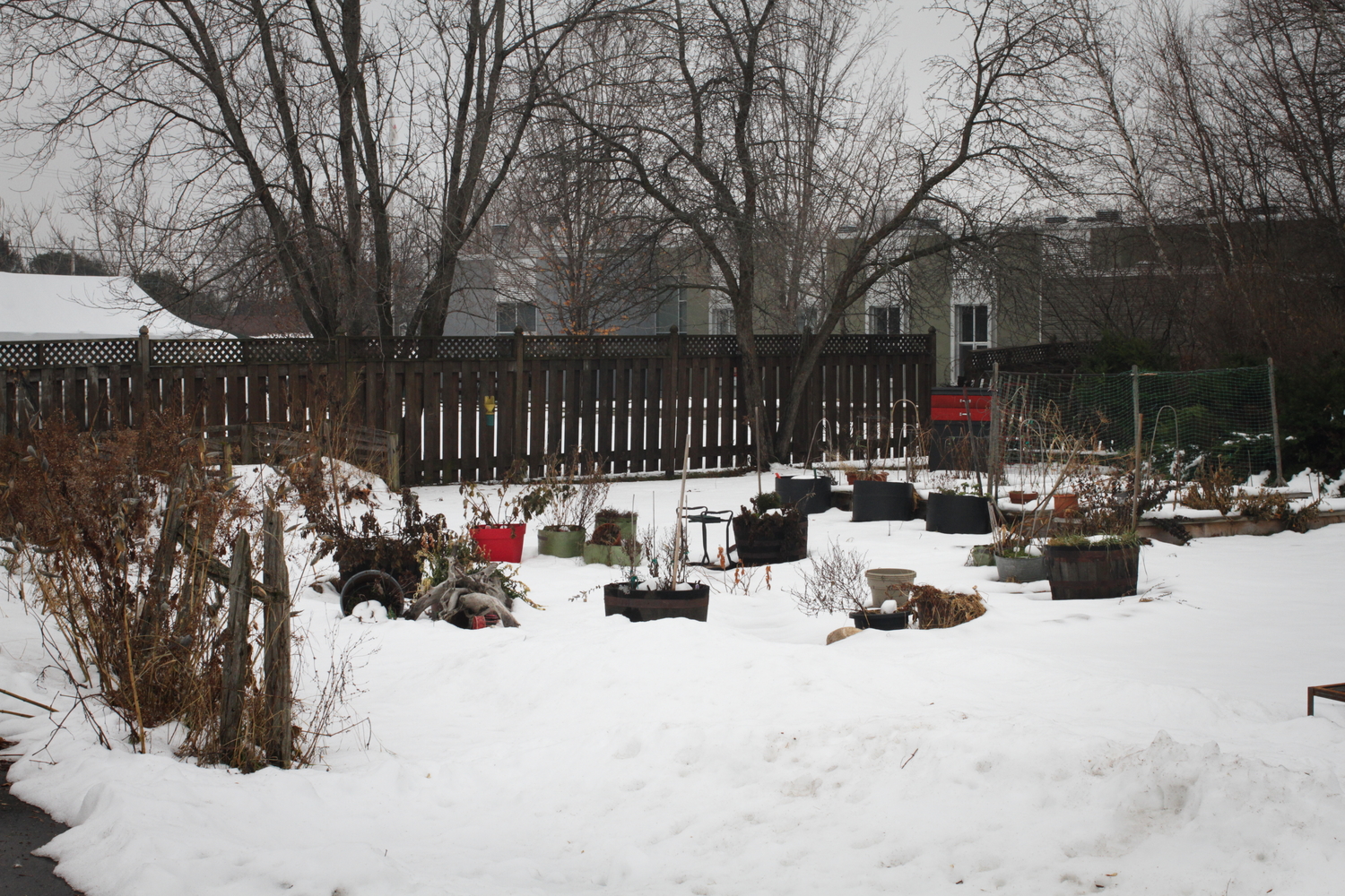 Le jardin de plantes médicinales des O’BOMSAWIN.