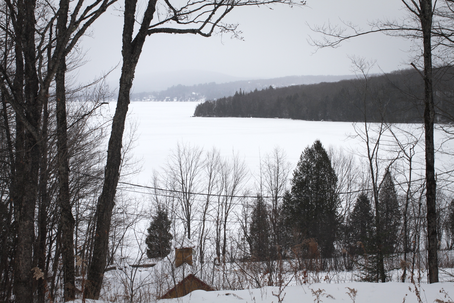 Un lac gelé près du chenil.