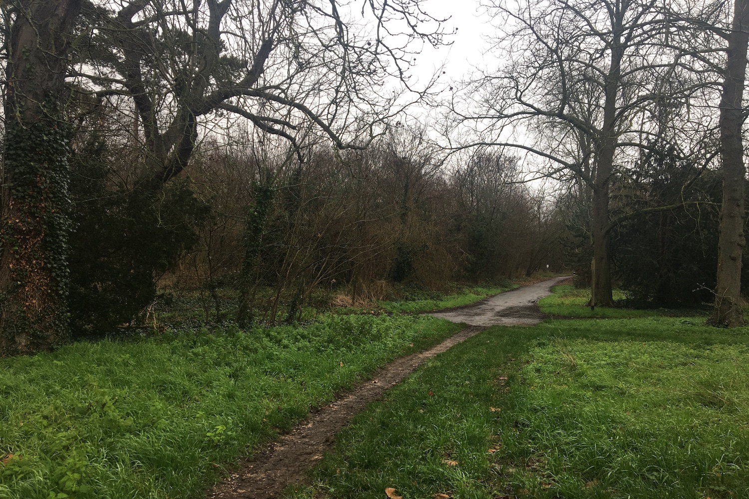 Le parc zoologique borde le bois de Vincennes dans le 12e arrondissement © Globe Reporters