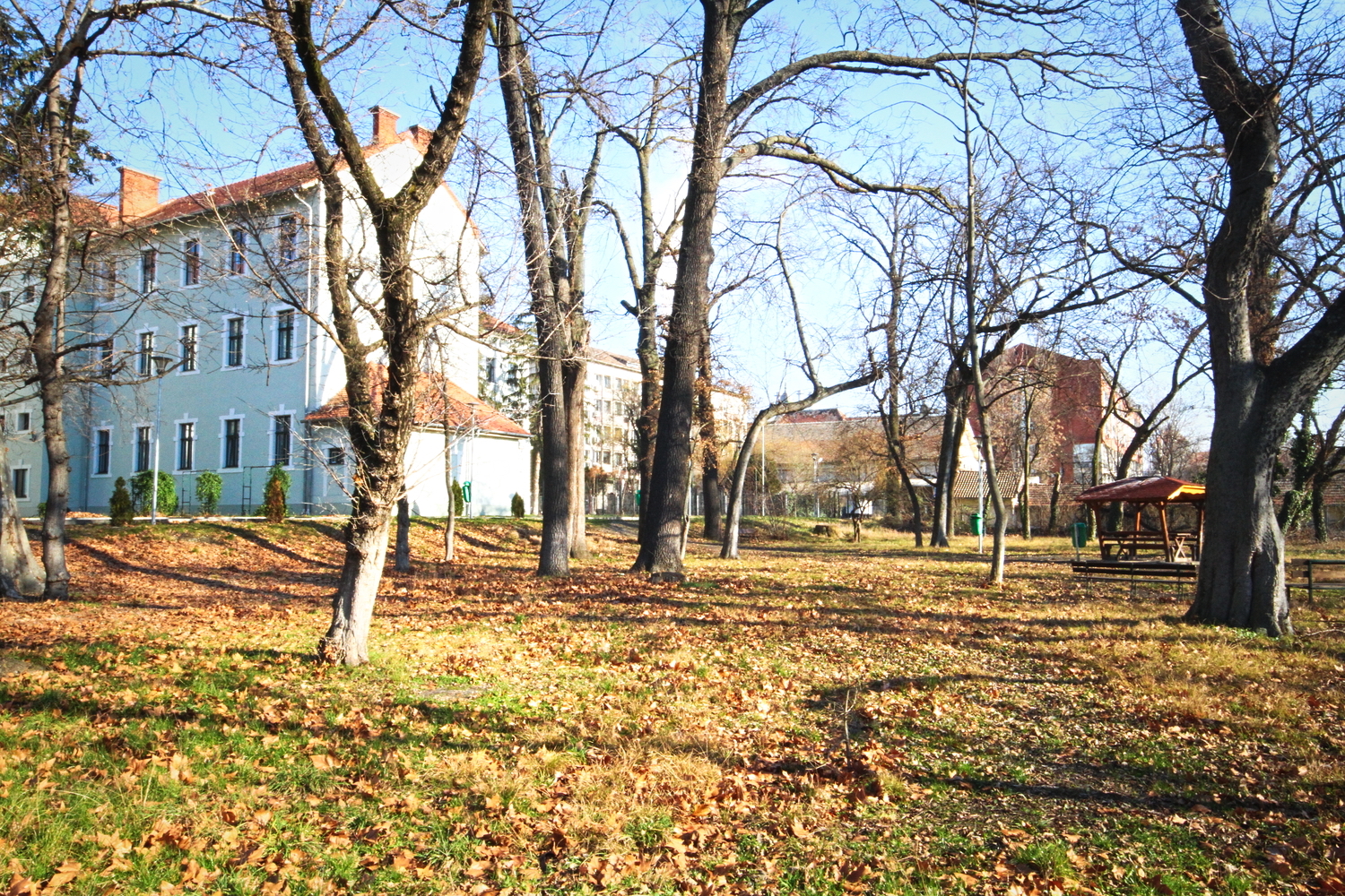 La cour du récré ou plutôt « le parc de récré » des élèves du lycée Jean-Louis CALDERON © Globe Reporters