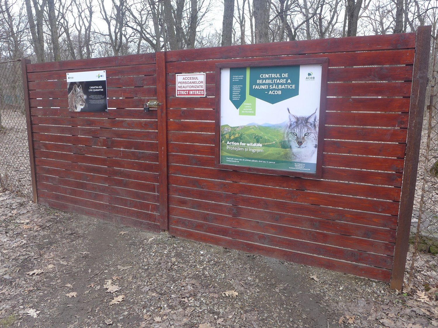 Le centre de réhabilitation des animaux sauvages se situe dans la forêt de Petresti, à quelques kilomètres de Focsani. 