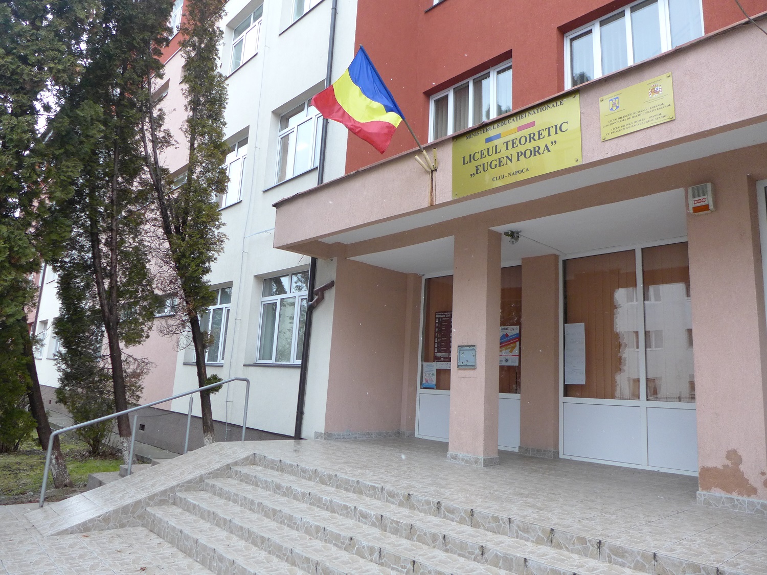 Il est professeur d’éducation physique au lycée Eugen Pora, à Cluj. Contrairement à ce que son nom indique, c’est une école où il y a des classes de primaire, de collège et de lycée.