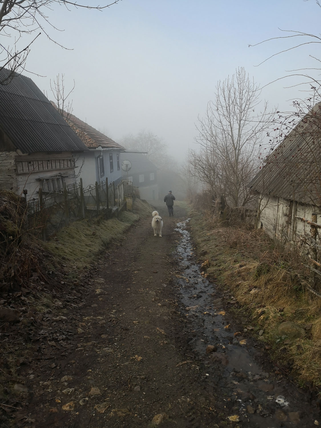 Au lendemain de l’interview, Zeno nous indique la direction de la mine de Roşia Poieni à 40 minutes à pied de chez lui dans la montagne © Globe Reporters