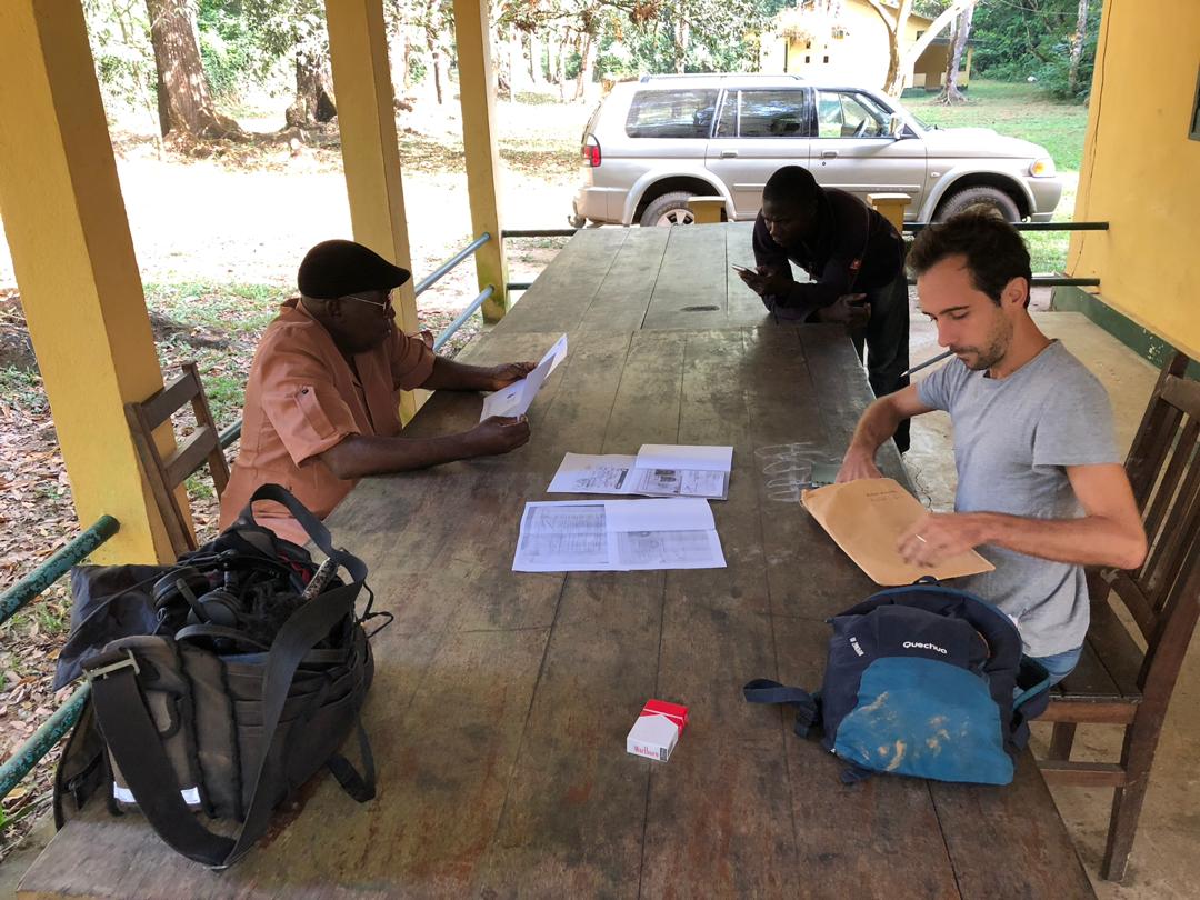 Après consultation des accréditations et de longues palabres, le responsable de la réserve de Ziama, sous couvert de « déontologie administrative », invite notre envoyé spécial à se rendre à Nzérékoré, ville située à 90 km, pour demander une autorisation de tournage à la directrice régionale du centre forestier de la Guinée forestière.