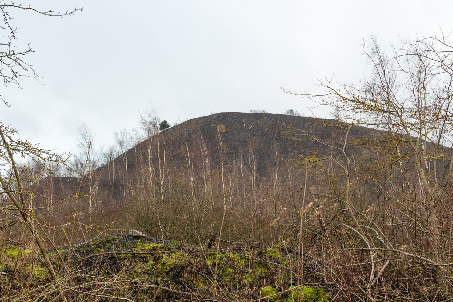 Un terril, une colline créée par l’accumulation de résidus (restes) miniers. 