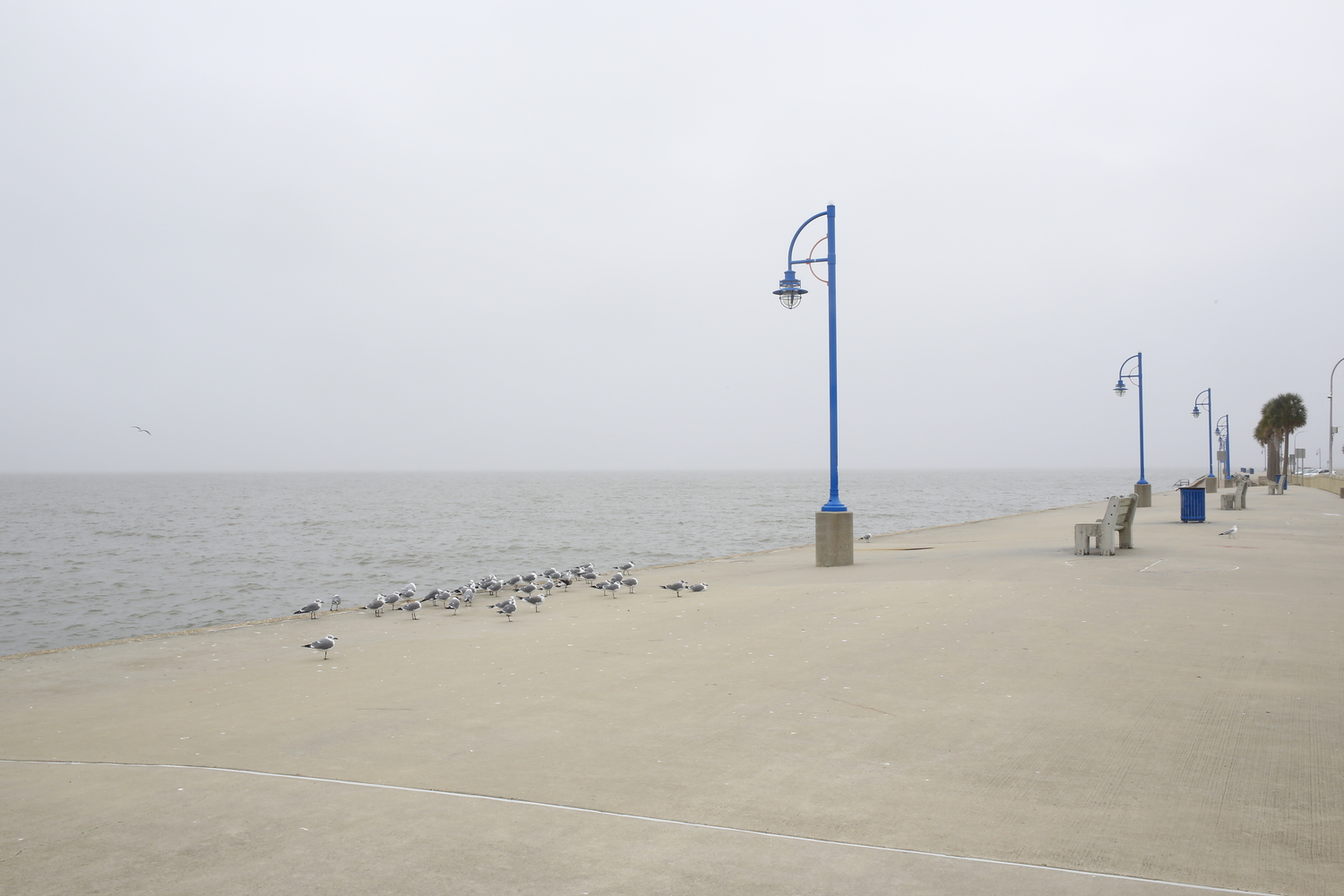 De l’autre côté de la ville, le lac Pontchartrain, une énorme réserve d’eau. C’est l’eau du lac qui a envahi la maison d’Hélène, l’hôte de notre envoyée spéciale © Globe Reporters