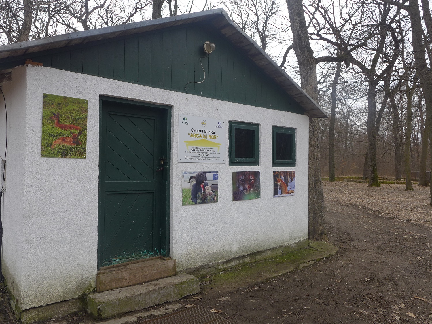 Le centre a ouvert en 2007. Depuis, 350 animaux sauvages y ont été soignés, avant d’être relâchés dans la nature.