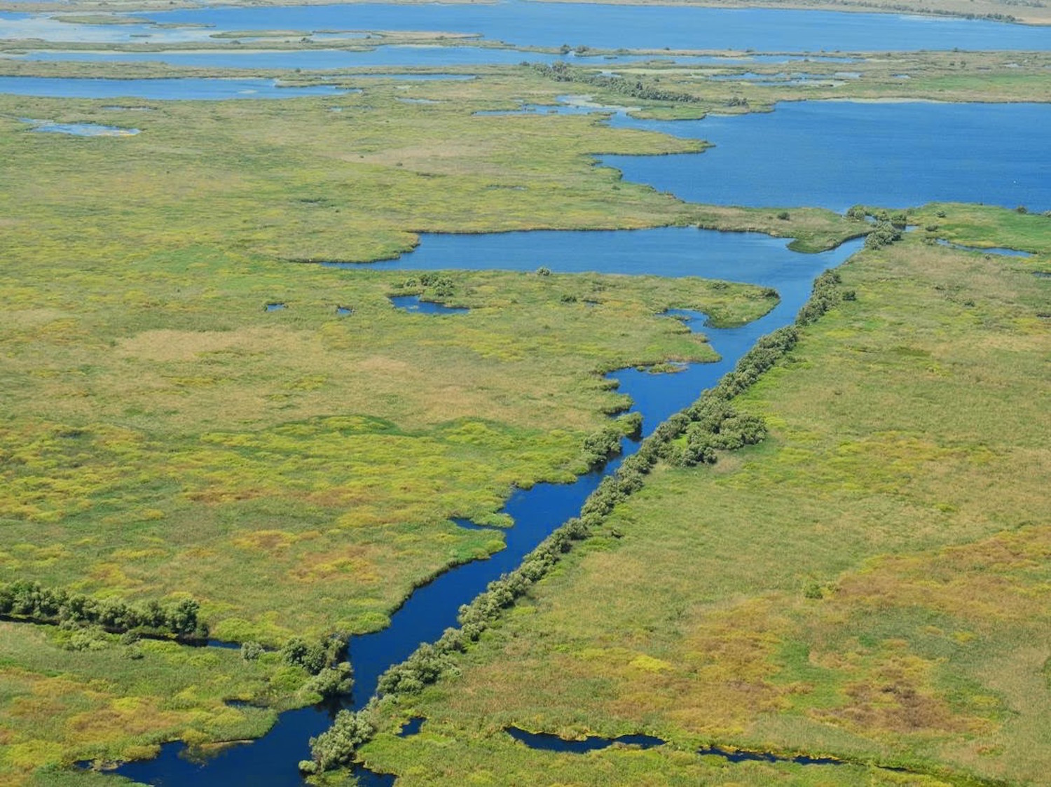 Le Delta est un labyrinthe de canaux et de lacs (photo : Cristian Miteltu) 