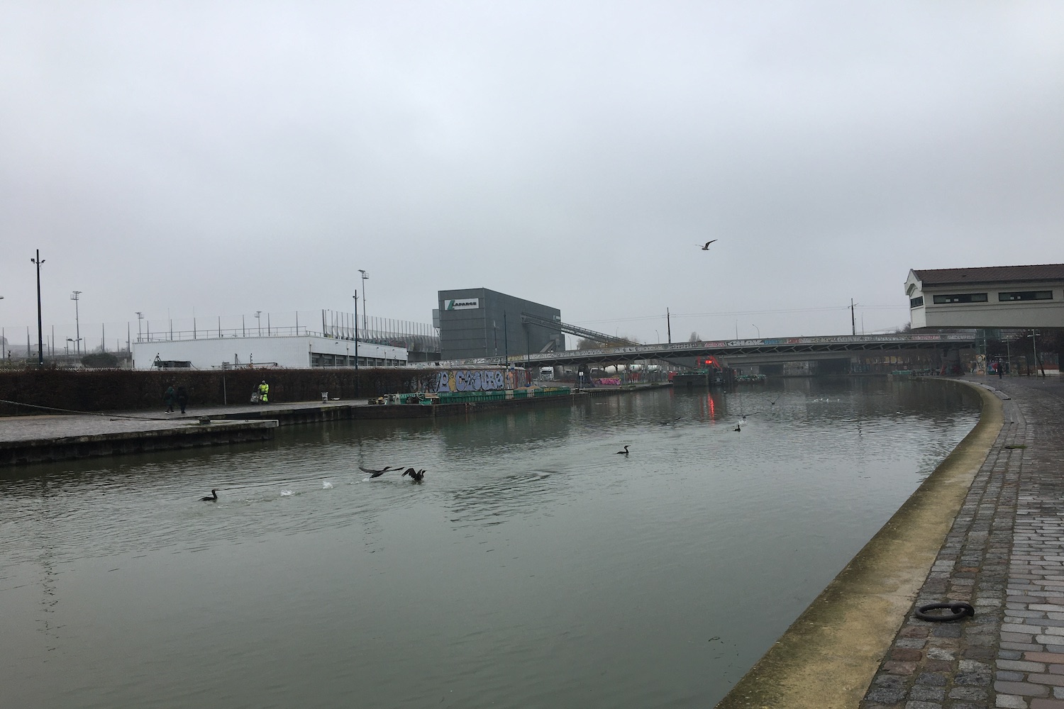 En chemin, la biodiversité est visible dans la ville, comme ces cormorans et ces mouettes dans le canal © Globe Reporters