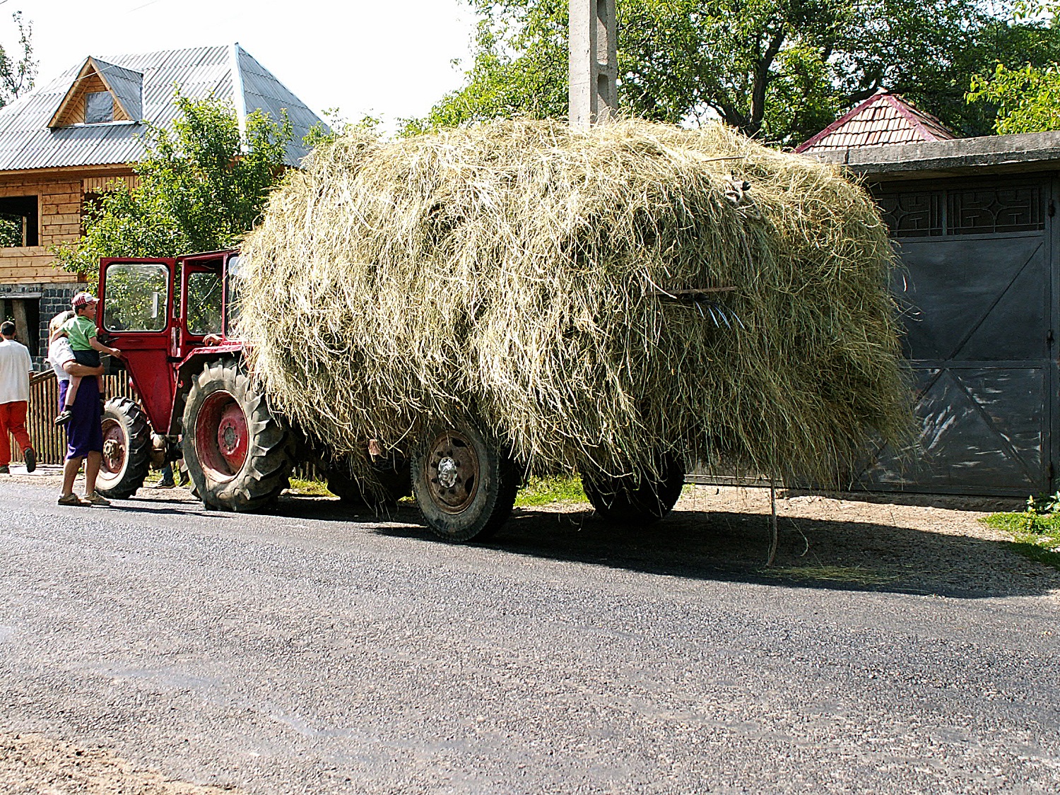 Les agriculteurs qui le peuvent utilisent aussi des tracteurs. crédits Anamaria Luga