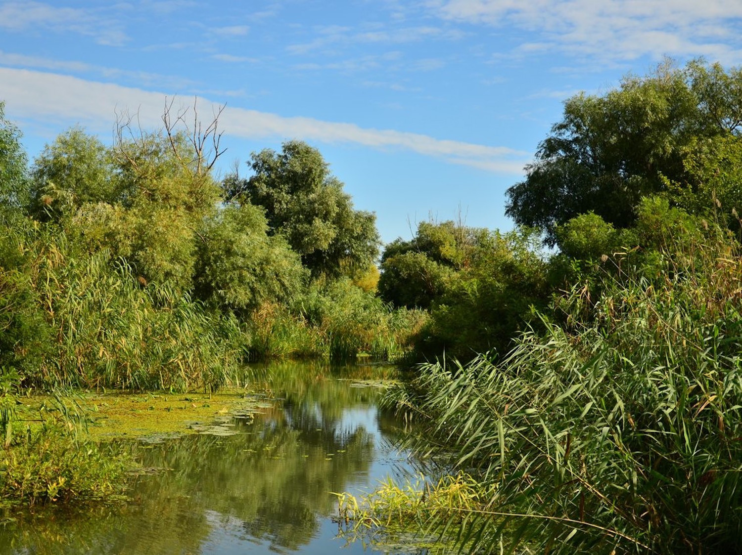 A l’intérieur d’un canal (photo : Cristian Miteltu)