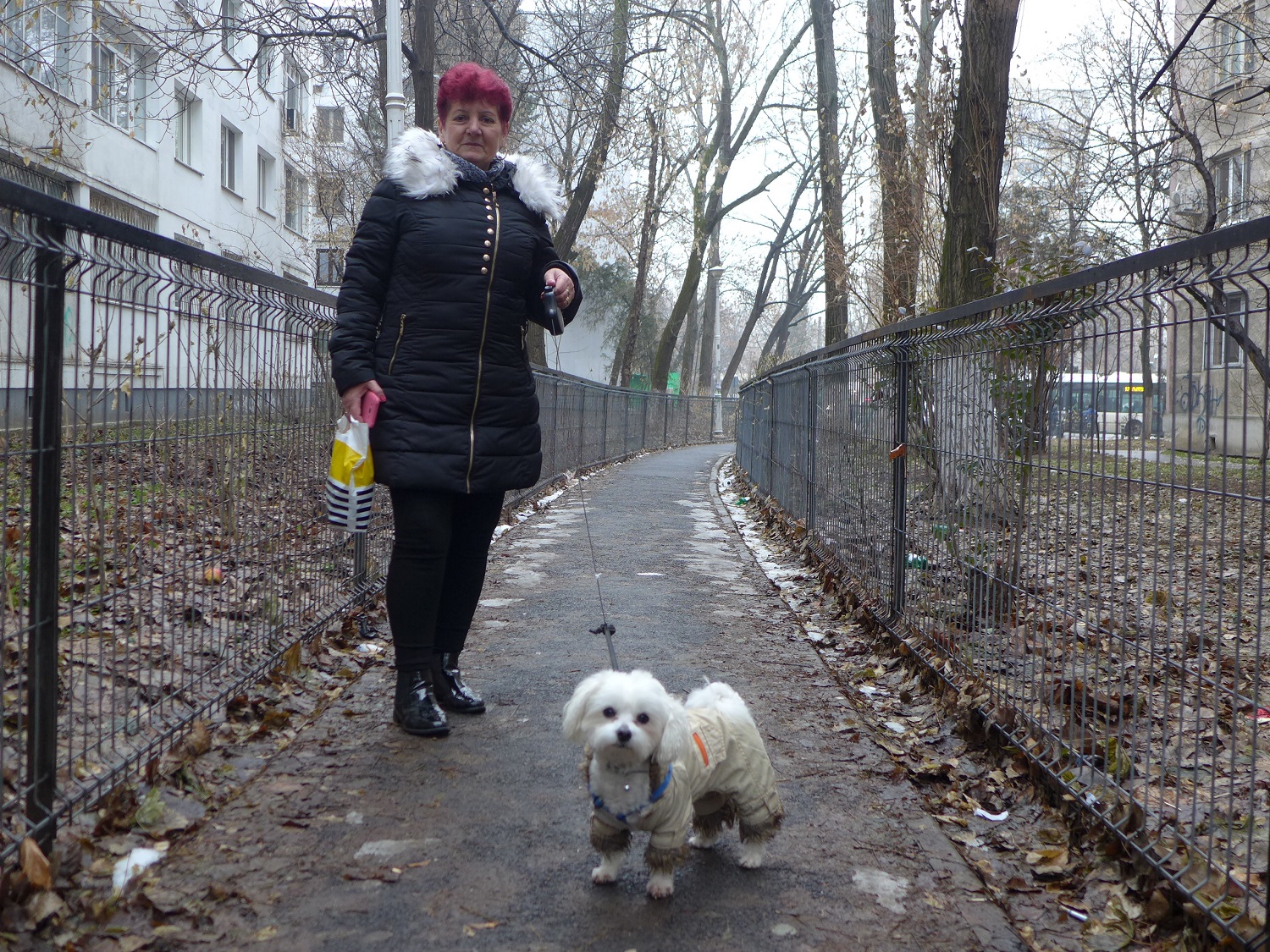 Niculita et son chien Pufi, un bichon maltais de 4 ans, se promènent dans le quartier de Drumul Taberei. « Je l’ai pris pour mes petits-enfants », dit Niculita, qui est retraitée.