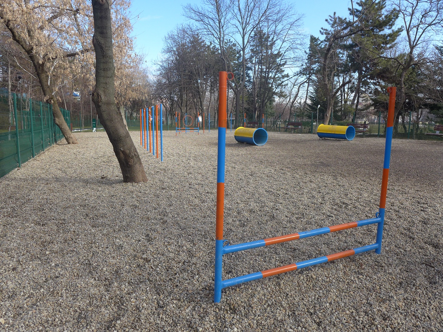 Un espace aménagé pour les chiens, dans le parc de Drumul Taberei, à l’ouest de Bucarest.