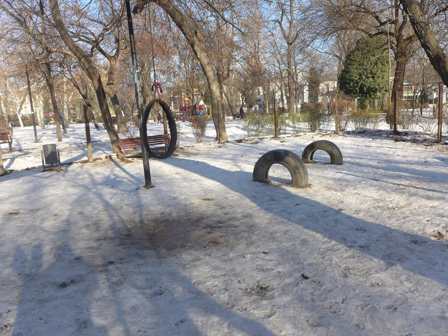 Un espace aménagé pour les chiens, dans le jardin Icoanei, au centre de la capitale.