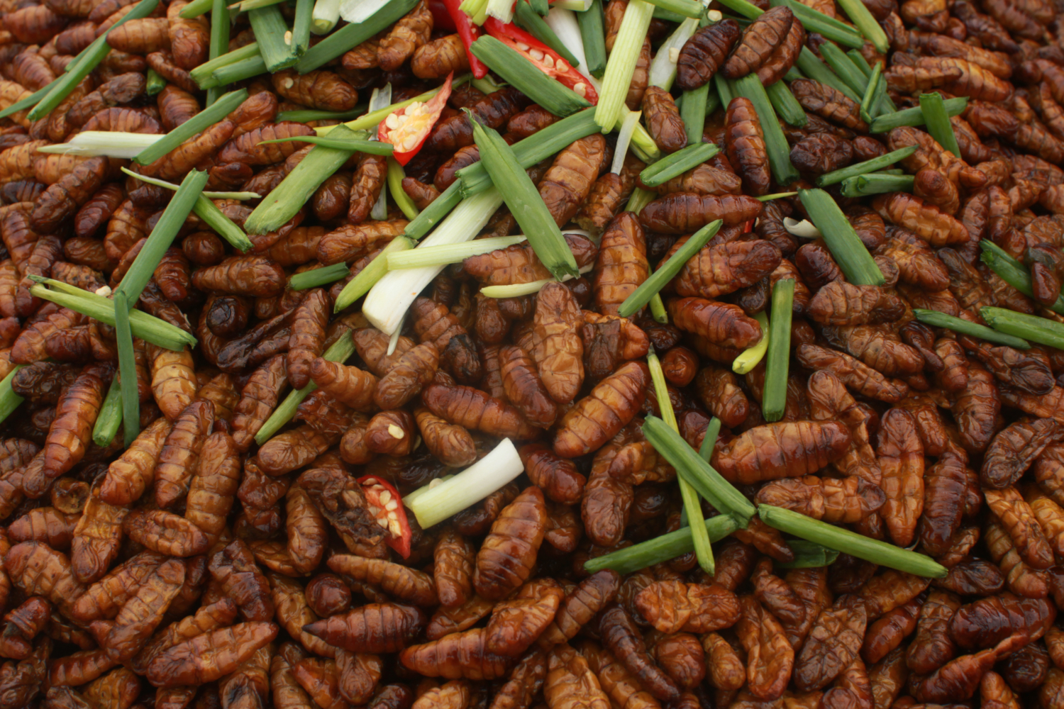 Vers à soie assaisonnés © Globe Reporters