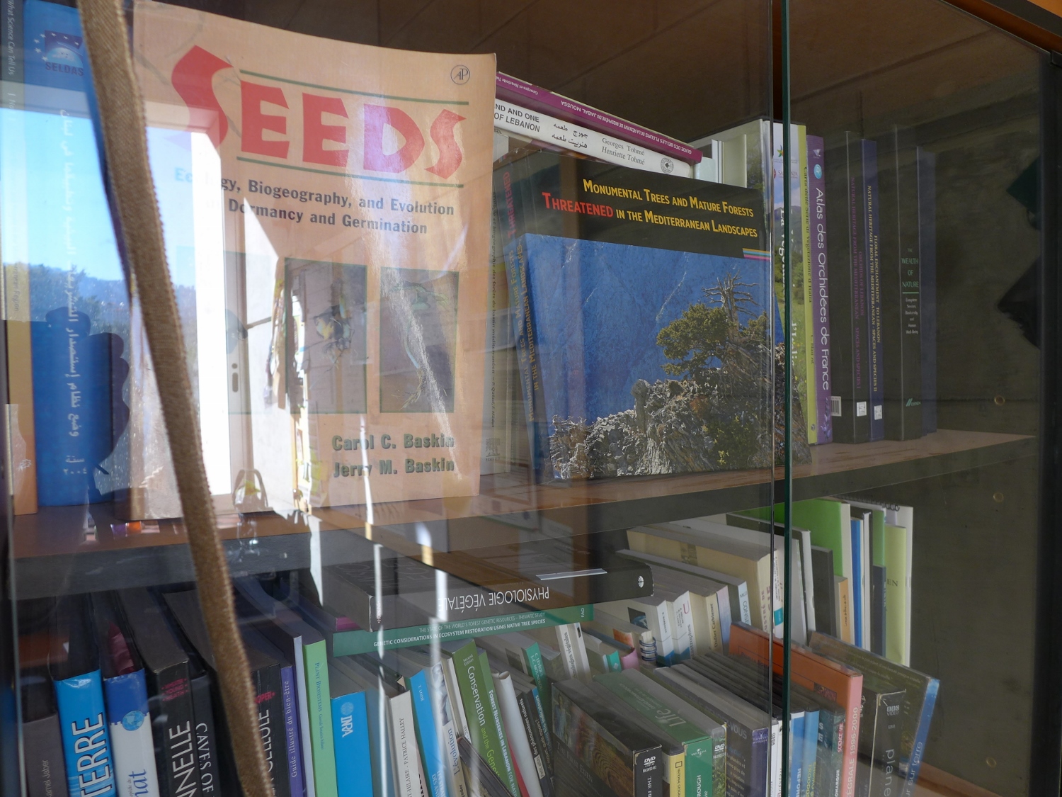 La bibliothèque de Magda © Globe Reporters