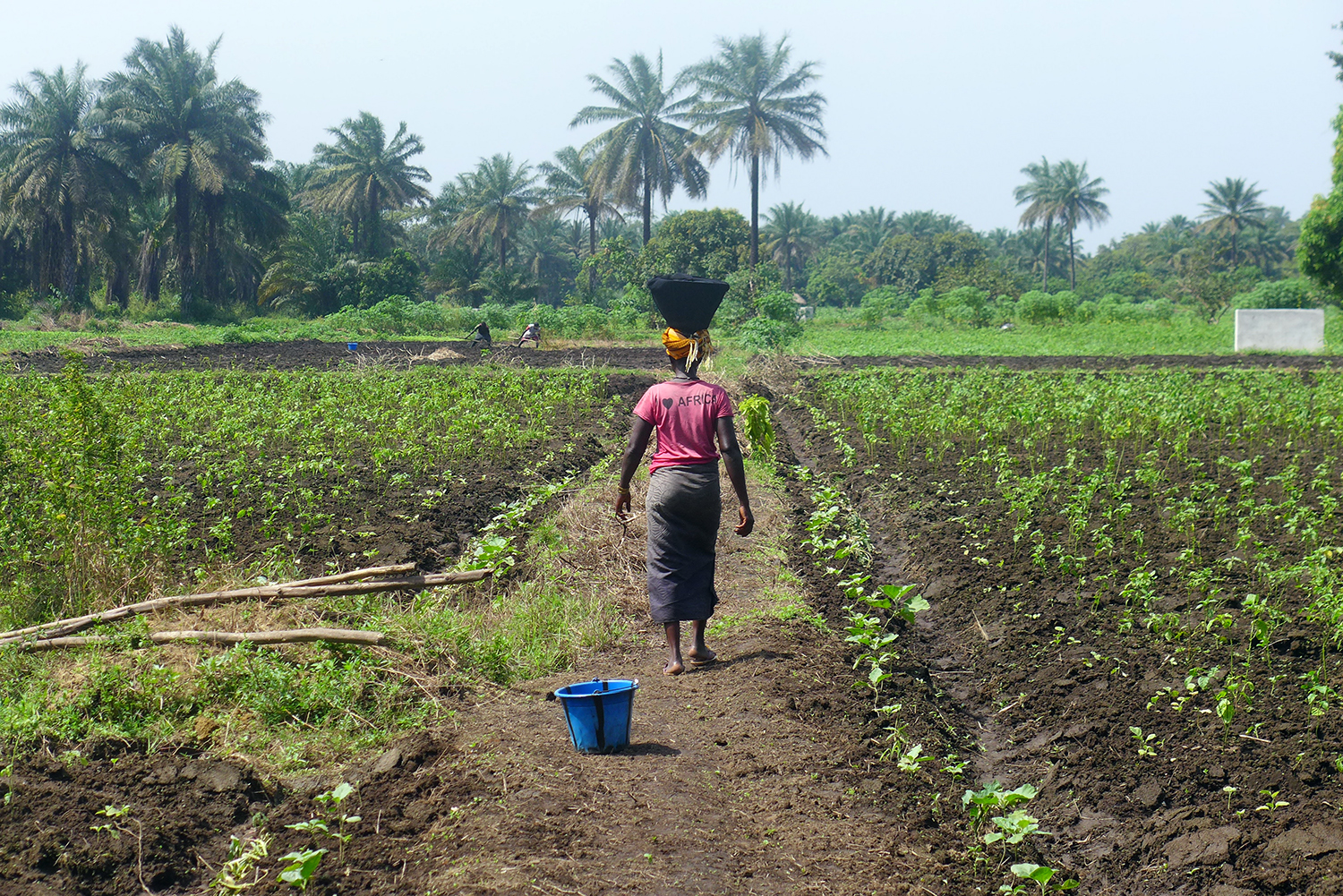 Djenaba SANDEN, employée par Issiaga KALABANE apporte le repas de midi aux cultivateurs.