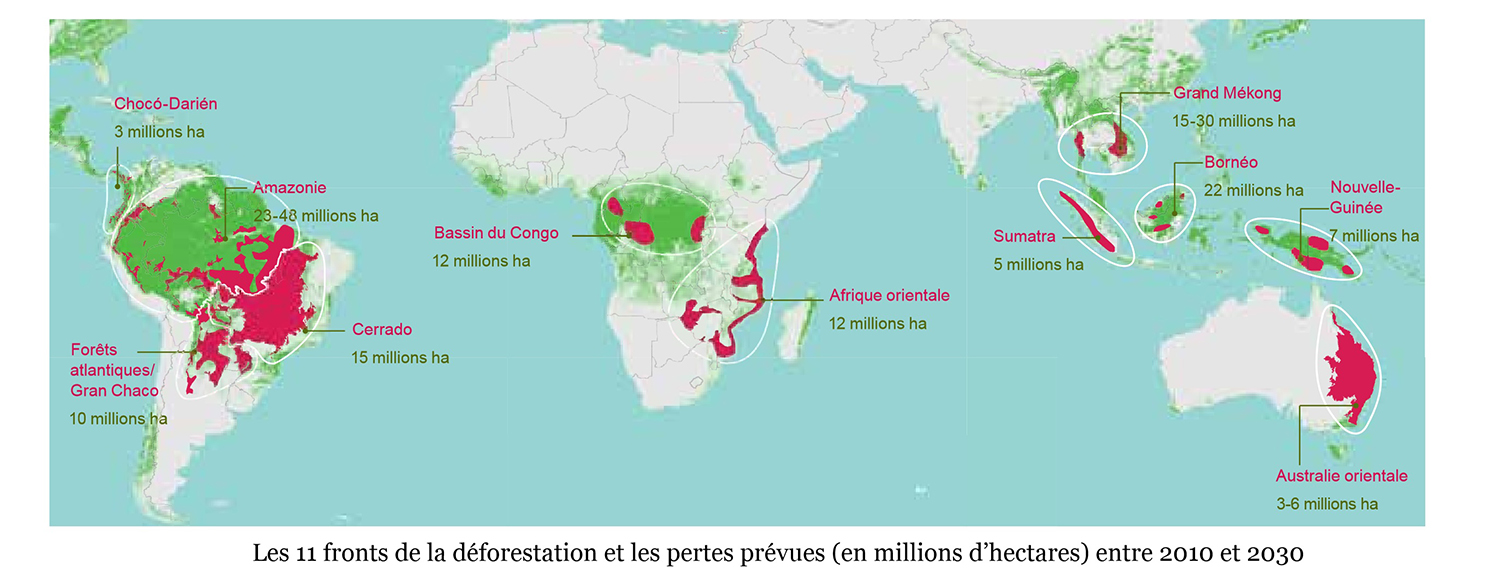 Les zones les plus concernées par la déforestation. ©WWF Rapport Forêt Vivante