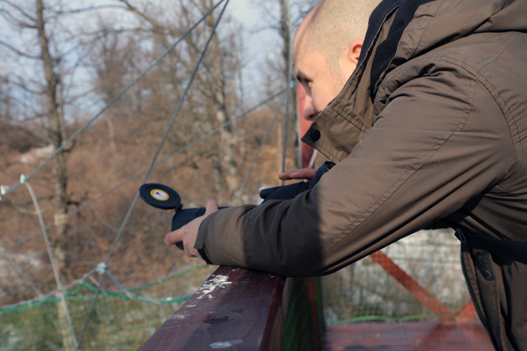 Observation des ours avec des jumelles